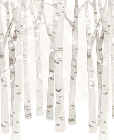 Children's Wall Mural