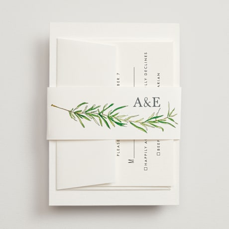 Bridal Shower Belly Bands