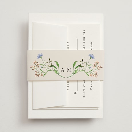 Bridal Shower Belly Bands