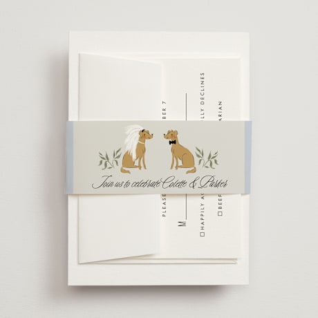 Bridal Shower Belly Bands