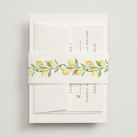 Bridal Shower Belly Bands