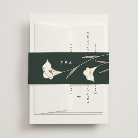 Foil-Pressed Belly Bands