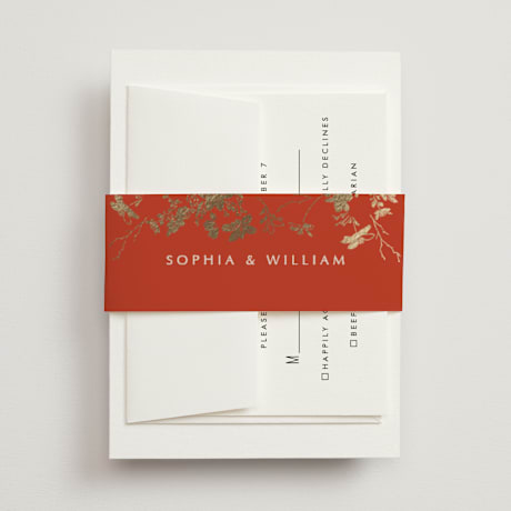 Foil-Pressed Belly Bands