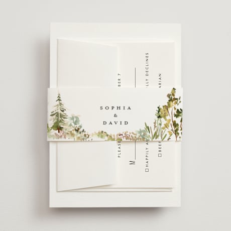 Foil-Pressed Belly Bands