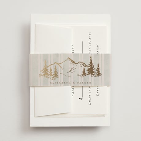 Foil-Pressed Belly Bands