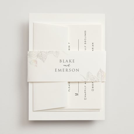 Gloss-Press Belly Bands