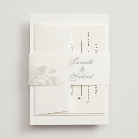 Gloss-Press Belly Bands