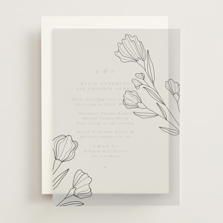 Vellum Overlays
