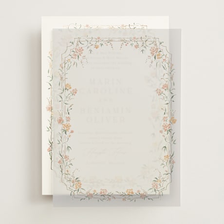 Vellum Overlays
