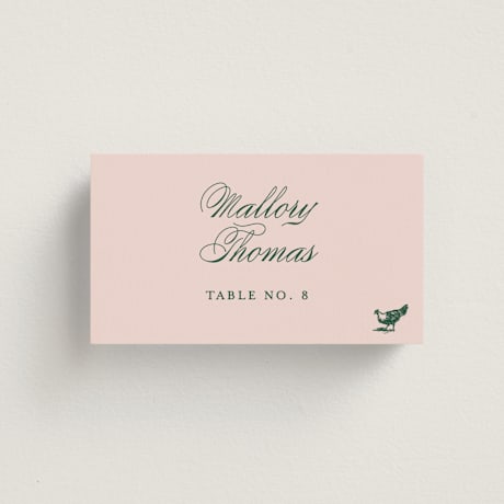 Place Cards - Chicken