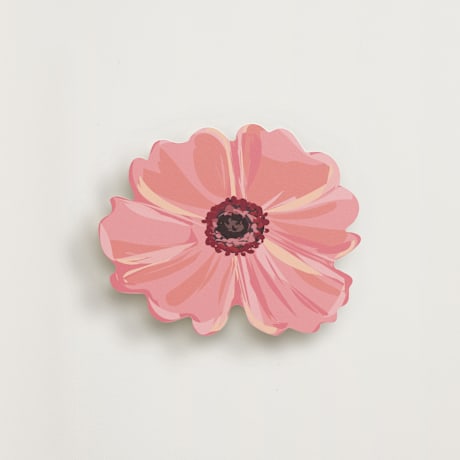 Novelty Enclosure Cards