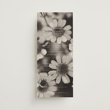 Tall Wedding Weekend Itinerary Cards