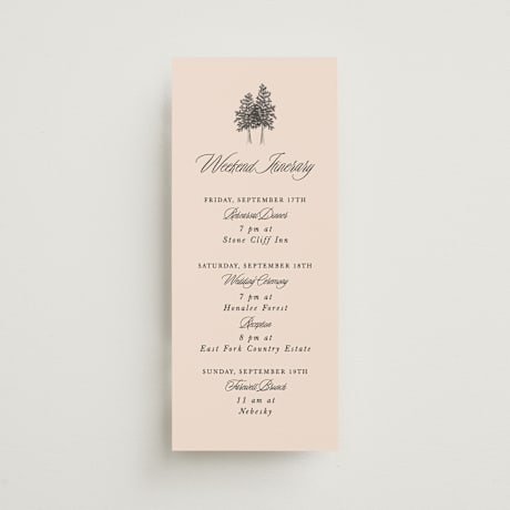 Tall Wedding Weekend Itinerary Cards