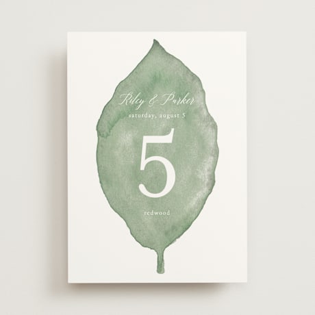Table Numbers