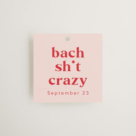 Bachelorette Party Favor Tags