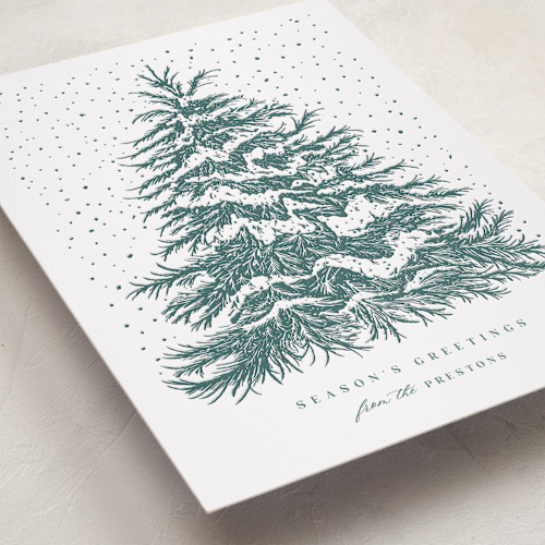This is a pine letterpress holiday cards with letterpress by Paula Pecevich called o tannenbaum printing on bright white letterpress paper in standard
