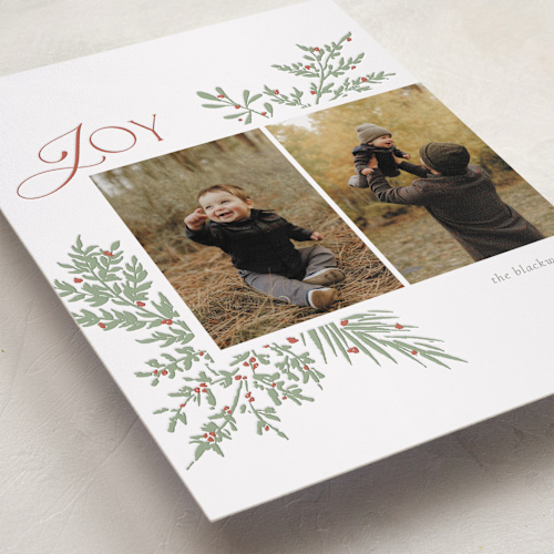 This is a mint letterpress holiday cards with letterpress by Beth Schneider called joyful foliage printing on bright white letterpress paper in standard