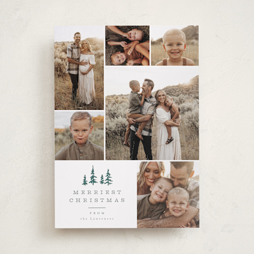 This is a pine letterpress holiday cards with letterpress by Everett Paper Goods called among the pines printing on bright white letterpress paper in standard