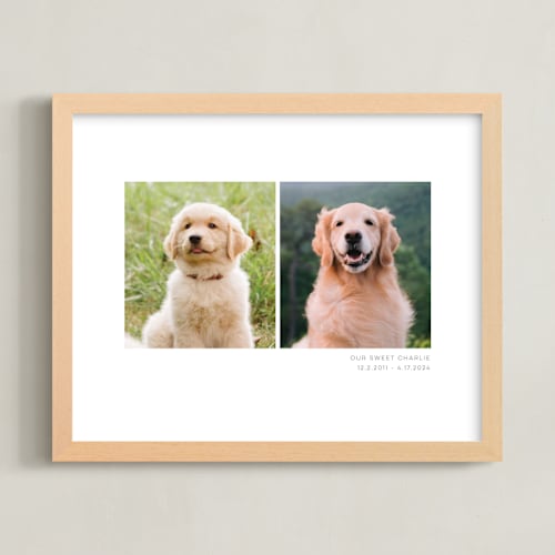 This is a white photo art by Anelle Mostert called two photo: landscape framed photo