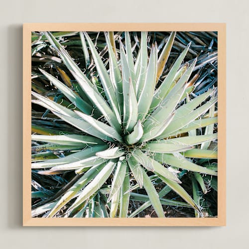 This is a desert sage art by Anna Western called desert fauna