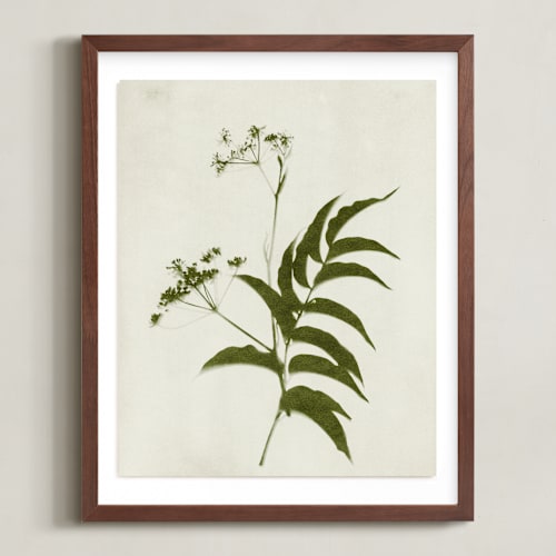 This is a verdant art with standard by Kamala Nahas called foraged iii