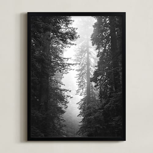 This is a black & whtie art by Kamala Nahas called redwood morning