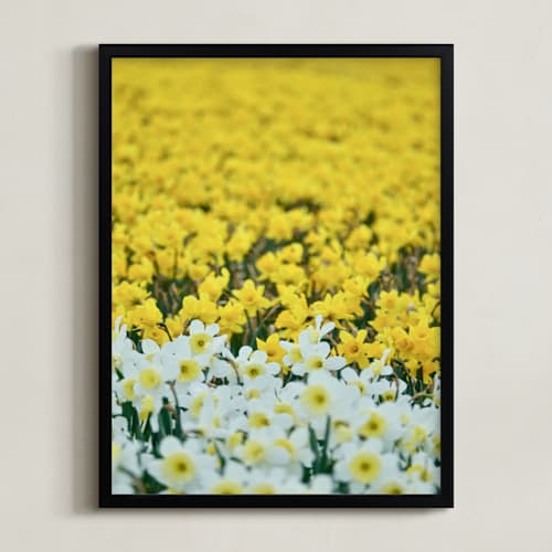 This is a daffodil yellow art by Jan Kessel called daffs 4