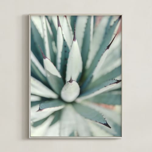 This is a desert green art by Lindsay Ferraris Photography called todos santos iv