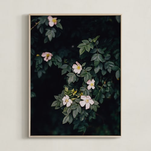 This is a deep green art by Hanke Arkenbout called moody white roses