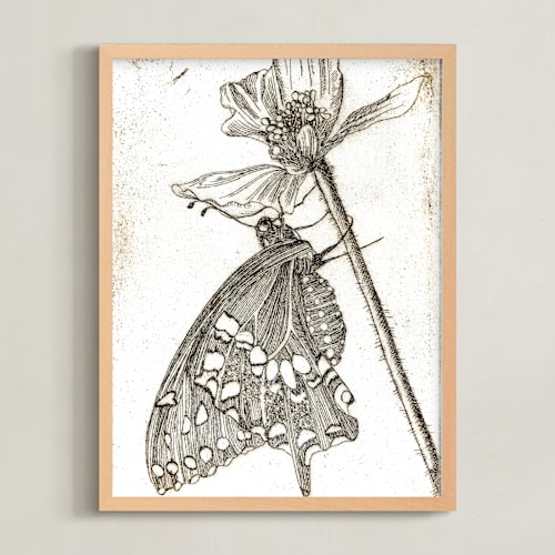 This is a sepia art by Stephanie Toral called papillon et papaver