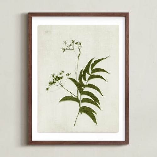 This is a verdant art by Kamala Nahas called foraged iii