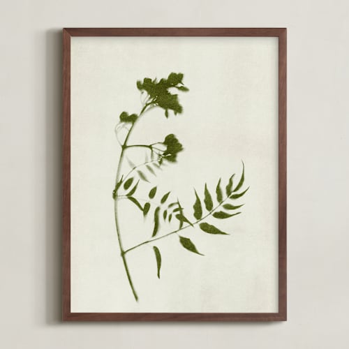 This is a verdant art by Kamala Nahas called foraged i