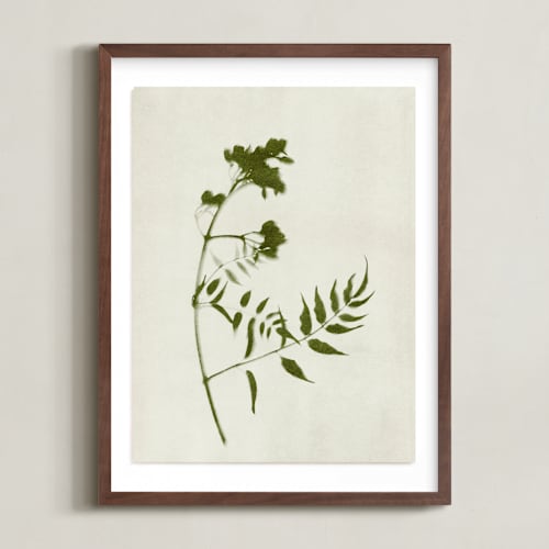 This is a verdant art by Kamala Nahas called foraged i