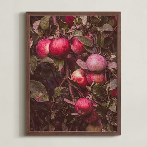 This is a ripe red art by Justine Bicknell called apple season