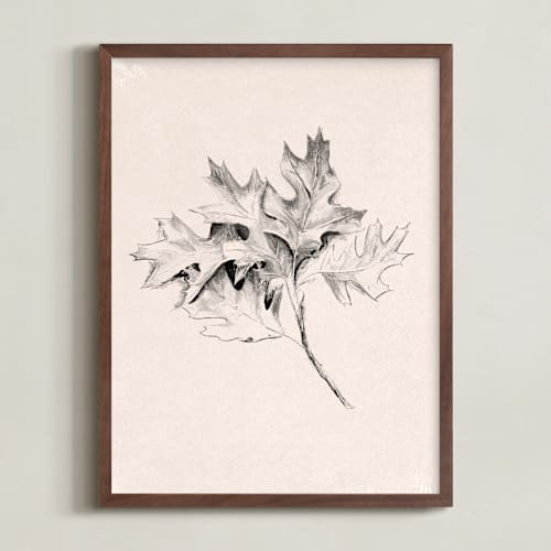 This is a charcoal art by Olivia Kanaley Inman called leaf study
