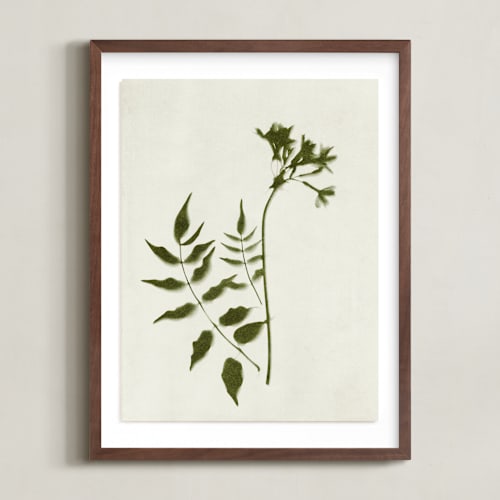 This is a verdant art by Kamala Nahas called foraged ii