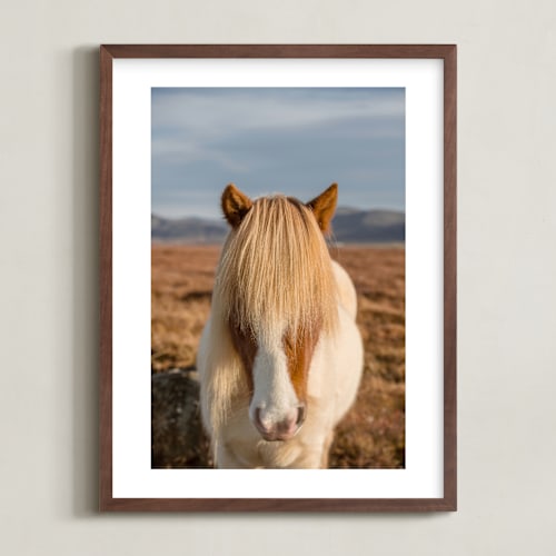 This is a golden art by Crystal Lynn Collins called icelandic horses i