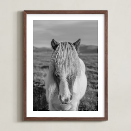 This is a black + white art by Crystal Lynn Collins called icelandic horses i