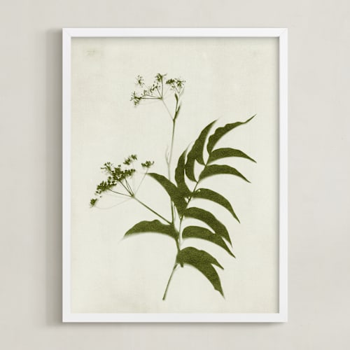 This is a verdant art by Kamala Nahas called foraged iii