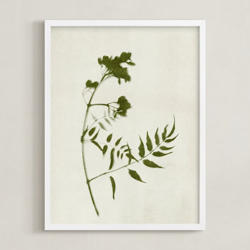 This is a verdant art by Kamala Nahas called foraged i
