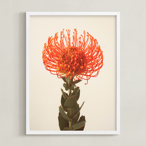 This is a tangerine art by Kamala Nahas called protea i