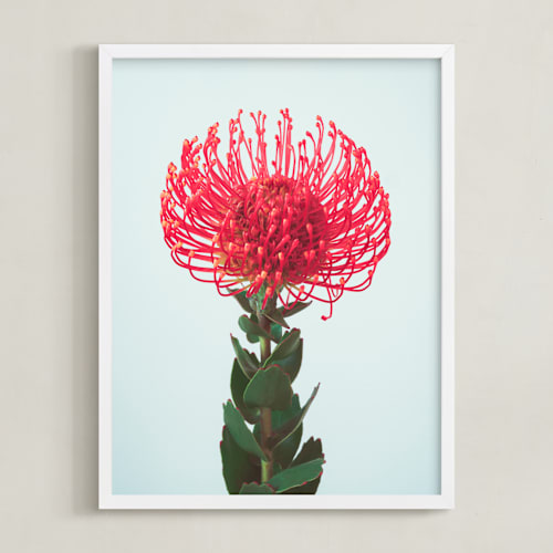This is a passion art by Kamala Nahas called protea i
