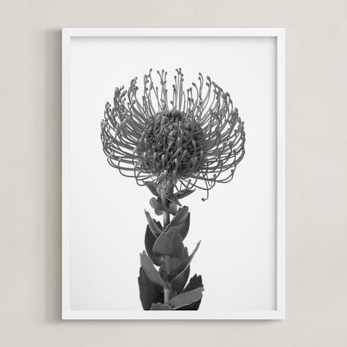 This is a ash art by Kamala Nahas called protea i