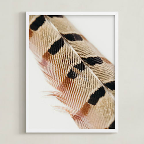 This is a auburn art by Becca Beers called feather study i