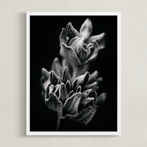 This is a black art by Kamala Nahas called wild sage in black & white i