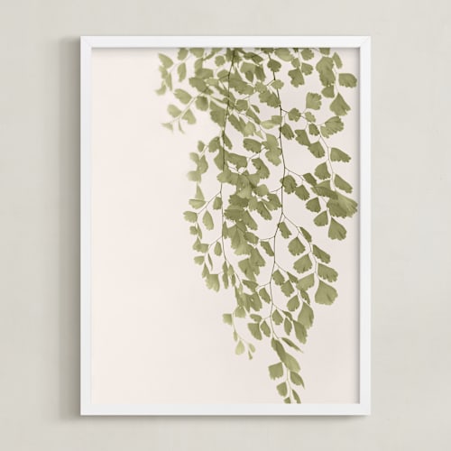 This is a olive branch art by Eliane Lamb called softness
