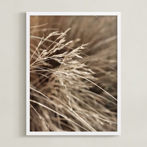 This is a lucca art with standard by Bethania Lima called summertime 2