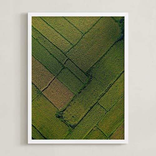 This is a green art with standard by Alaric Yanos called above the paddy