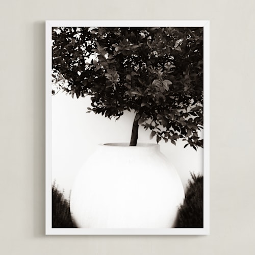 This is a sepia art by Sara Hicks Malone called verdant garden ii
