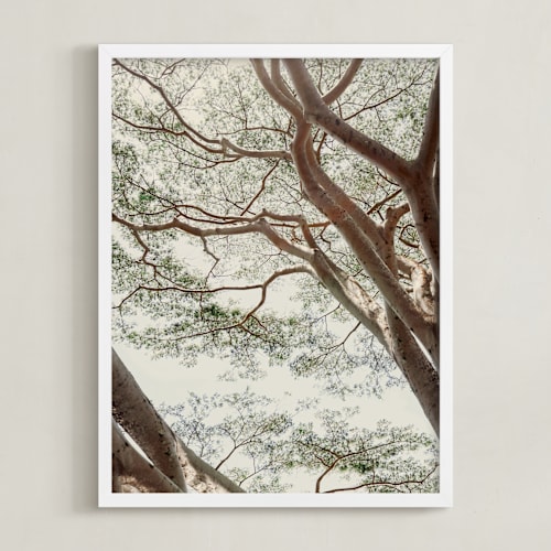 This is a woodland green art by Alicia Abla called tapestry ii